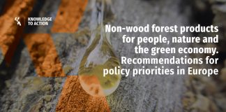 Wild forest products can help propel green growth in Europe