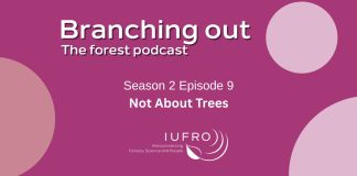 IUFRO Podcast Episode 9: Not about trees, the human side of forestry