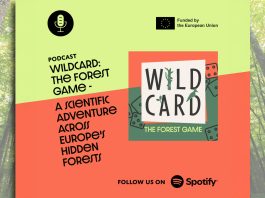Four new WILDCARD podcast episodes explore rewilding in Europe